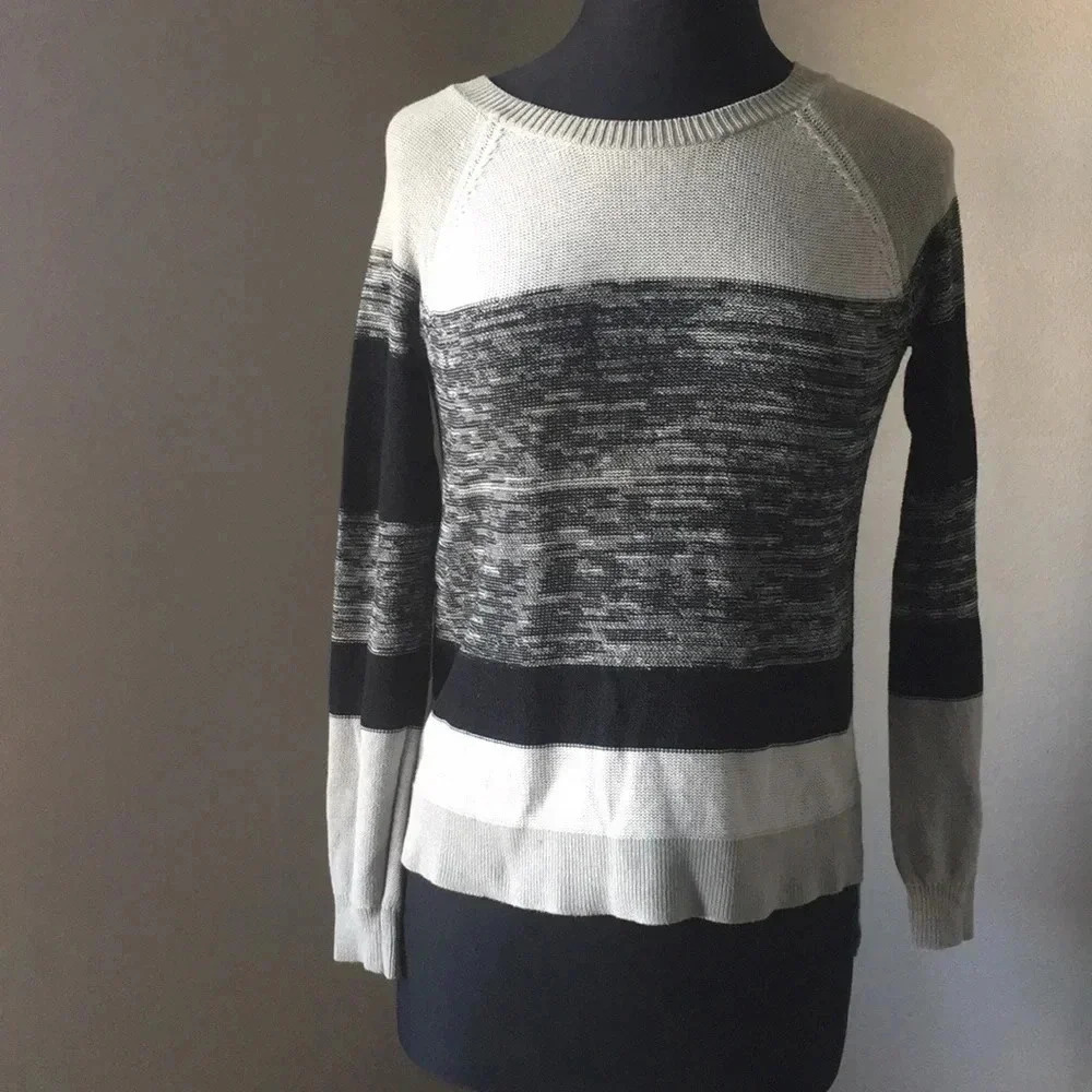 BCBG Color Block Sweater‎